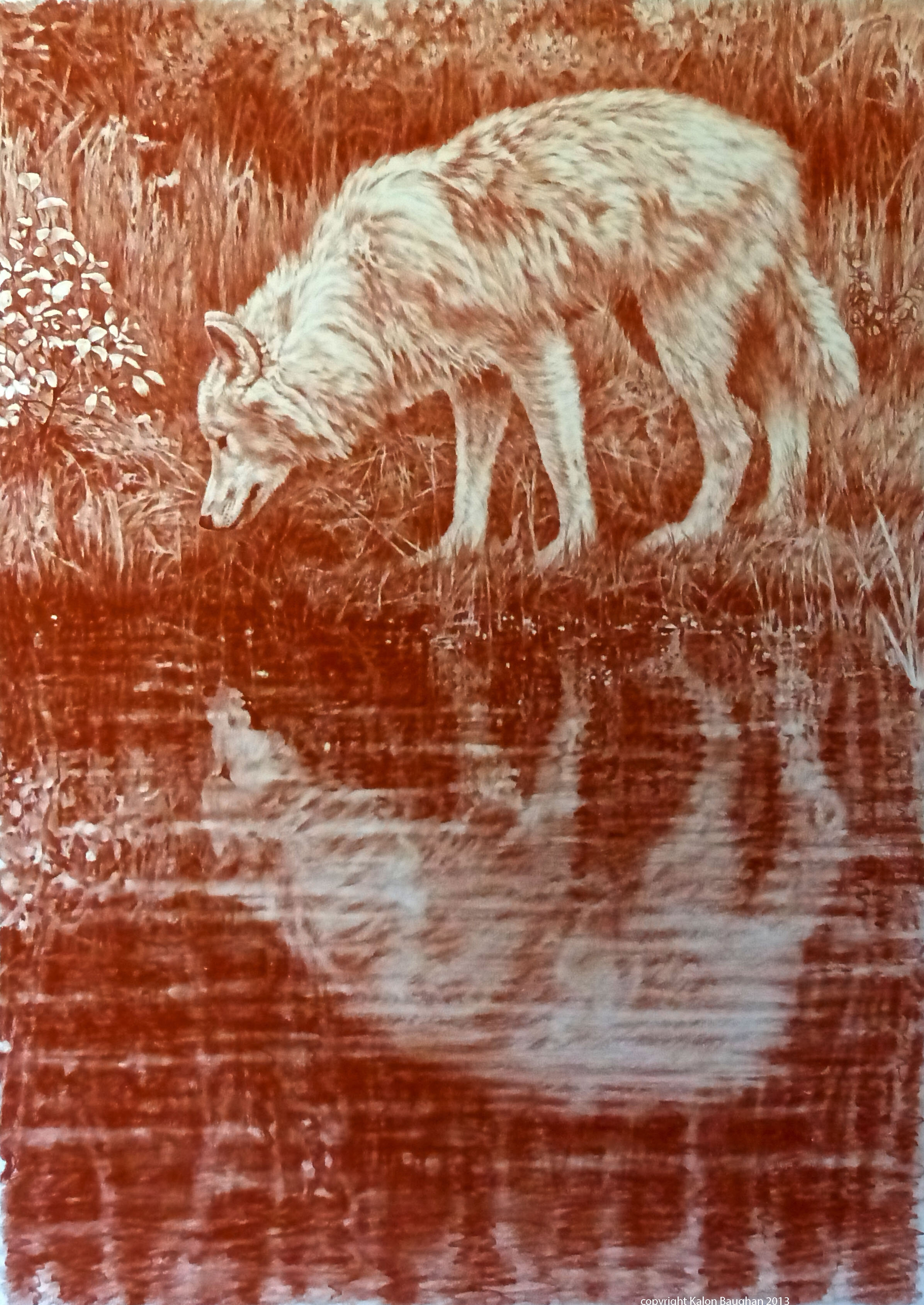 Drawings — Kalon Baughan Drawings — Kalon Baughan